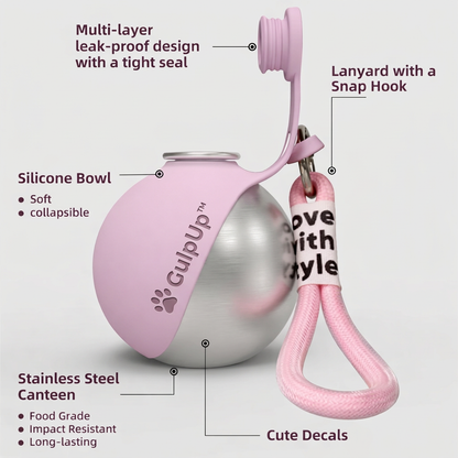 GulpUp™ The 2-in-1 Dog Water Bottle & Bowl