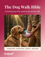 The Dog Walk Tips & Secret - E-Book